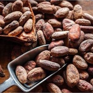 Organic CACAO Beans